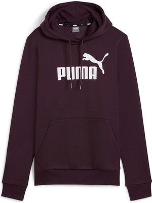 Puma Ess Logo Hoodie Fl