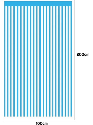 Parti Pera Arka Fon Parti Perdesi Mat Gümüş Renk 100*200CM