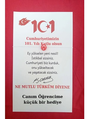 Emtory Home 10 Adet 101. Yıl Logo Kartlı Türk Bayrağı Bileklik - 29 Ekim Cumhuriyet Bayramı Hediyesi - (Paketli)