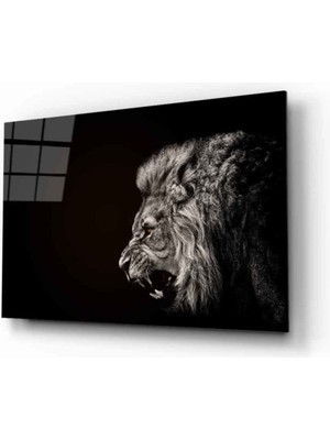 Miyrem  Miyrem Glasses Collection -A1^#  Aslan Hayvan Cam Tablo