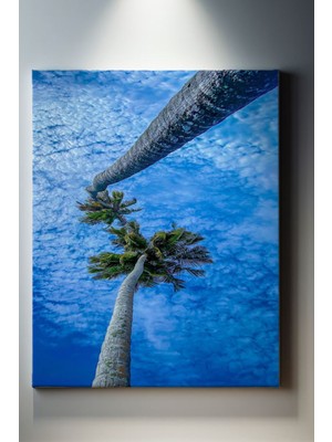 SuAla Ağaç Temalı, Palmiye Bakışı Kanvas TABLO-295