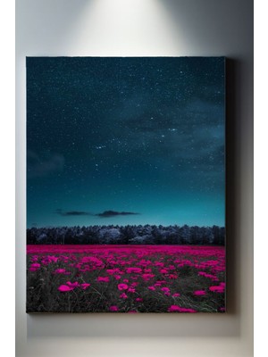 SuAla Çiçek Temalı, Çiçek Merası Tablo-79