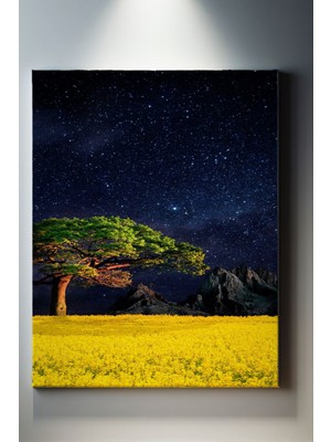 SuAla Manzara Temalı, Gökyüzü Safarisi Tablo-24