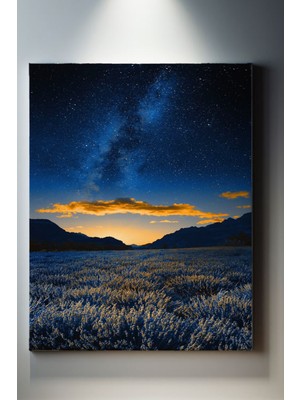 SuAla Manzara Temalı, Çayır Manzarası Kanvas TABLO-226