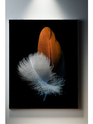 SuAla Minimalist Temalı, Asil Tüy TABLO-336