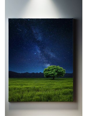 SuAla Manzara Temalı, Optik Gökyüzü Tablo 2-27