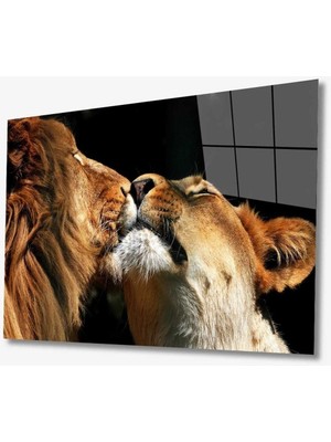 Miyrem  Miyrem Glasses Collection -A1^#  Aslan Hayvan Cam Tablo