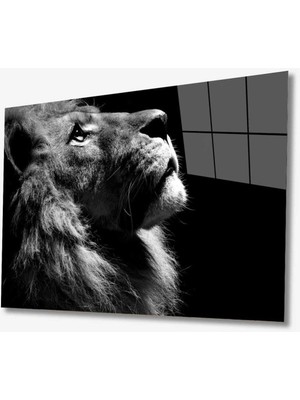 Miyrem  Miyrem Glasses Collection -A1^#  Aslan Hayvan Cam Tablo