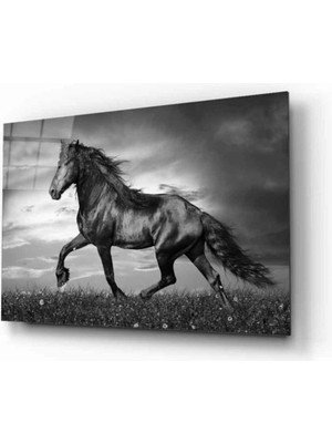 Miyrem  Miyrem Glasses Collection -A1^#  At 7 Hayvan Cam Tablo