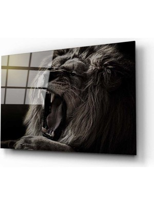 Miyrem  Miyrem Glasses Collection -A1^#  Aslan 5 Cam Tablo