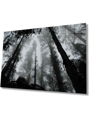 Miyrem  Miyrem Glasses Collection -A1^#  Siyah Beyaz Ağaçlar Cam Tablo, Cam Tablo