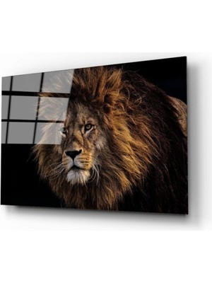 Miyrem  Miyrem Glasses Collection -A1^#  Aslan 9 Cam Tablo