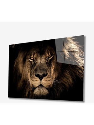 Miyrem  Miyrem Glasses Collection -A1^#  Aslan Hayvan Cam Tablo