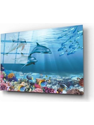 Miyrem  Miyrem Glasses Collection -A1^#  Su Alti Canlilari