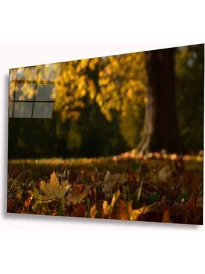 Miyrem  Miyrem Glasses Collection -A1^#  Sonbahar Cam Tablo