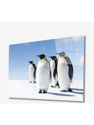 Miyrem  Miyrem Glasses Collection -A1^#  Penguen Hayvan Cam Tablo