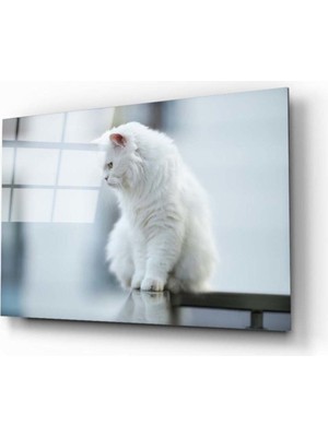 Miyrem  Miyrem Glasses Collection -A1^#  Beyaz Kedi Cam Tablo