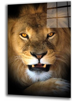 Miyrem  Miyrem Glasses Collection -A1^#  Aslan 15 Hayvan Cam Tablo