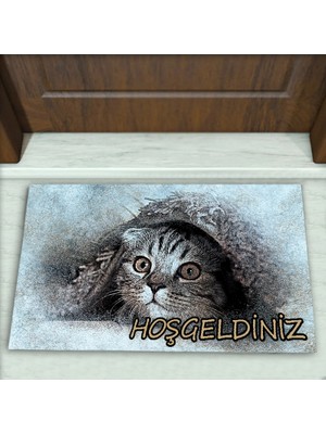 Colorix Carpet Kedi Resimli Desen Dekoratif Kapı Önü Paspası No: 1015