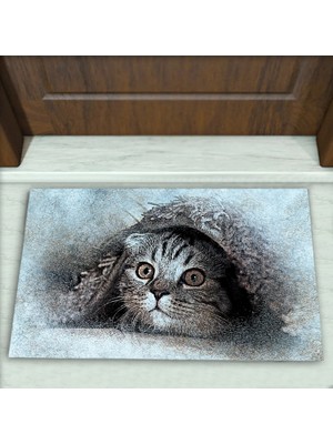 Kedi Resimli Desen Dekoratif Kapı Önü Paspası No: 1015