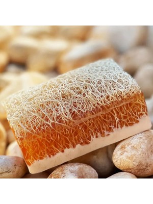 Modares Store Doğal El Yapımı Kabak Lifli Eşek Sütlü Ballı Sabun