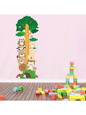 Kt Grup Orman Arkadaşları Boy Ölçer Sticker