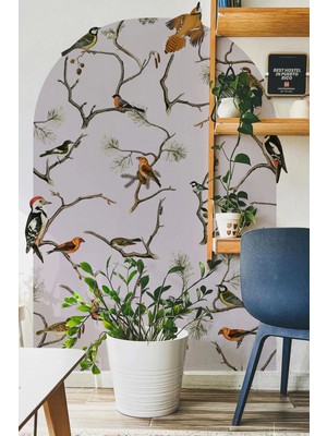 Kt Grup Kuş Cenneti Boho Kemer Arch Sanatsal Duvar Sticker