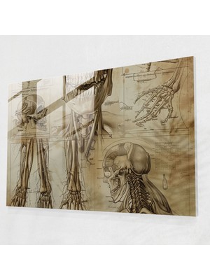 Painted Anarchy Leonardo Da Vinci Cam Sanatı - Leonardo Da Vinci, Modern Sanat, Leonardo Da Vinci, Cam Sanatı, 45X30