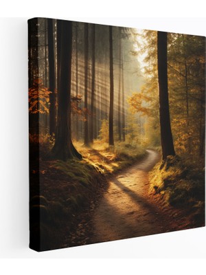 Painted Anarchy Güneşli Sonbahar Yolu Kanvas Tablo - Sonbahar, Duvar Sanatı, Kanvas Tablo, Duvar Dekorasyonu, 30X30