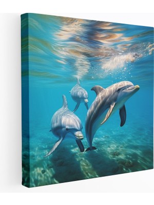 Painted Anarchy Yaban Hayatı Kanvas Tablo - Okyanus Sularındaki Sakin Yunus Ailesi - Yaban Hayatı, Duvar Dekorasyonu, Kanvas Tablo, Duvar Sanatı, 30X30 cm