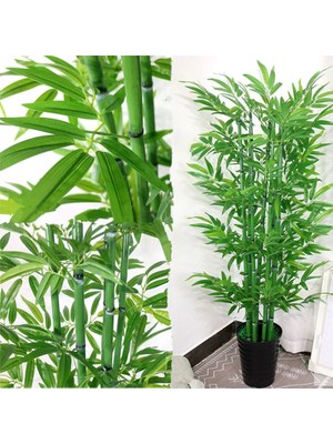 Murattohum Saksılık Mavi Bambu Ağacı Tohumu 5 Li