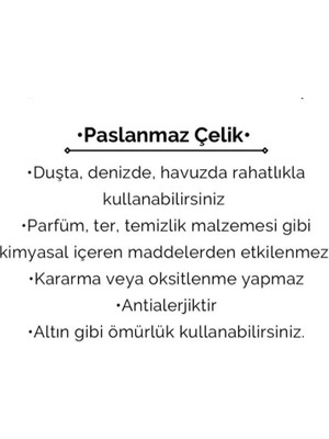 Cesicey Kadın Çelik Damla Çerçeveli Hayat Ağacı Küpe Gümüş Renk