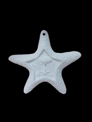 E Hobici  Deniz Yıldızı 17X16CM