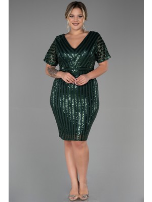 Abiyefon Pul Payetli Büyük Beden Abiye ABK686