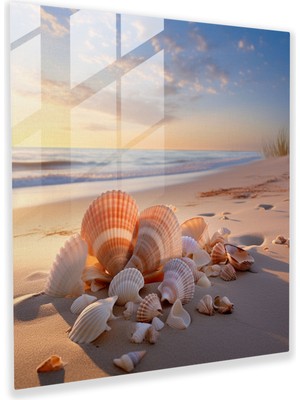 Painted Anarchy Natürmort Cam Baskı - Sakin Deniz Kabuğu Aranjman - Natürmort, Ev Dekorasyonu, Modern Sanat, Duvar Dekorasyonu, 30X30