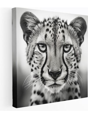 Painted Anarchy Çita Kanvas Tablo - Siyah Beyaz Fotoğraflı Duvar Tablosu - Çita, Çita, Siyah Beyaz Fotoğraf, Kanvas Tablo, 30X30