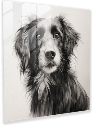 Painted Anarchy Klasik Cam Baskı - Detaylı Evcil Hayvan Portresi - Klasik, Girift Detaylar, Duvar Dekorasyonu, Klasik, 30X30