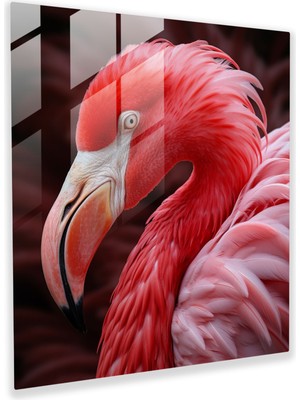 Painted Anarchy Flamingo Güzellik Cam Baskı - Flamingo, Cam Baskı, Modern Sanat, Flamingo, 30X30