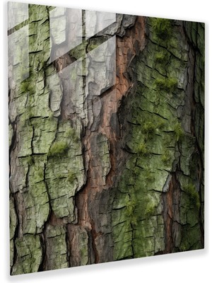 Painted Anarchy Canlı Çam Ağacı Cam Baskı - Yeşil Çam, Ağaç Kabuğu, Modern Sanat, Gerçekçi Fotoğrafçılık, 30X30