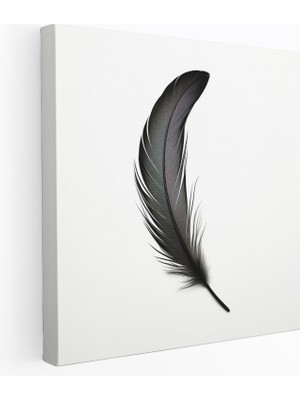 Painted Anarchy Tüy Duvar Sanatı - Minimalist Siyah Beyaz Tablo - Kanvas Tablo - Tüy, Minimalist Siyah Beyaz Illüstrasyon, Kanvas Tablo, 30X30