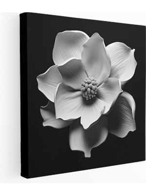 Painted Anarchy Monokrom Manolya Duvar Tablosu - Manolya, Duvar Dekorasyonu, Duvar Sanatı, Ev Dekorasyonu, 30X30