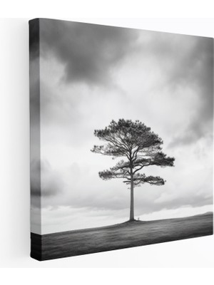 Painted Anarchy Yeşil Çam Duvar Sanatı - Yeşil Çam, Yalnız Ağaç, Bulutlu Gökyüzü, Kanvas Tablo, 30X30