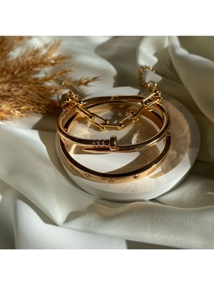 Meleny Gold Cartier Çivi Tifanny Bileklik Set