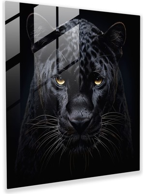 Painted Anarchy Marvel Kara Panter Cam Baskı - Marvel, Ev Dekorasyonu, Cam Duvar Tablosu, Cam Baskı, 30X30