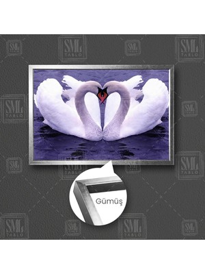 Gölde Kuğular Çift Aşk Love Hayvan Çerçeveli Yatay Kanvas Tablo