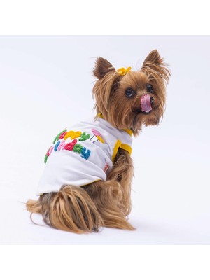 Happy Birthday Kedi Köpek Tişörtü - Kedi Köpek Kıyafeti