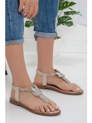 Shemard Minna Taşlı Parmak Arası Gold Sandalet