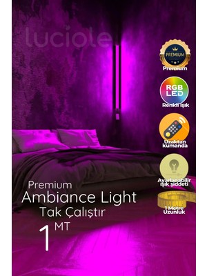 Luciole Metalik LED Abajur Aplik Gece Lambası Rgb Lambader 16 Renkli Uzaktan Kumandalı Işık 4 Animasyonlu 7