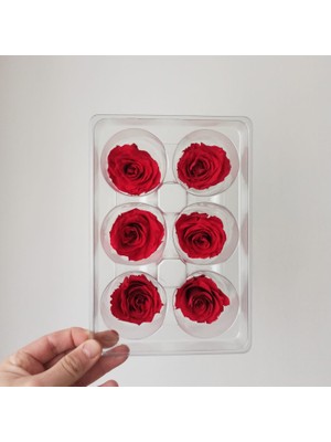 Serra Butik Çiçek Kırmızı Gül ( 6 Adet)