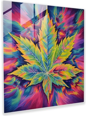 Painted Anarchy Ot Harikalar Diyarı Cam Baskı